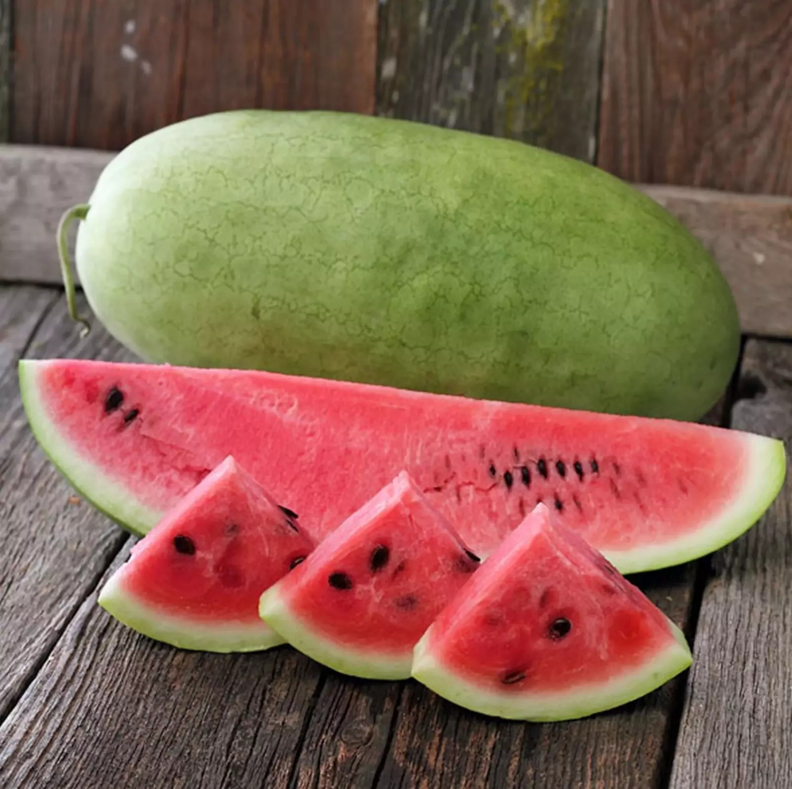 10+ CHARLESTON GREY WATERMELON SEEDS – Heirloom – Organic – NON GMO —— GIANT