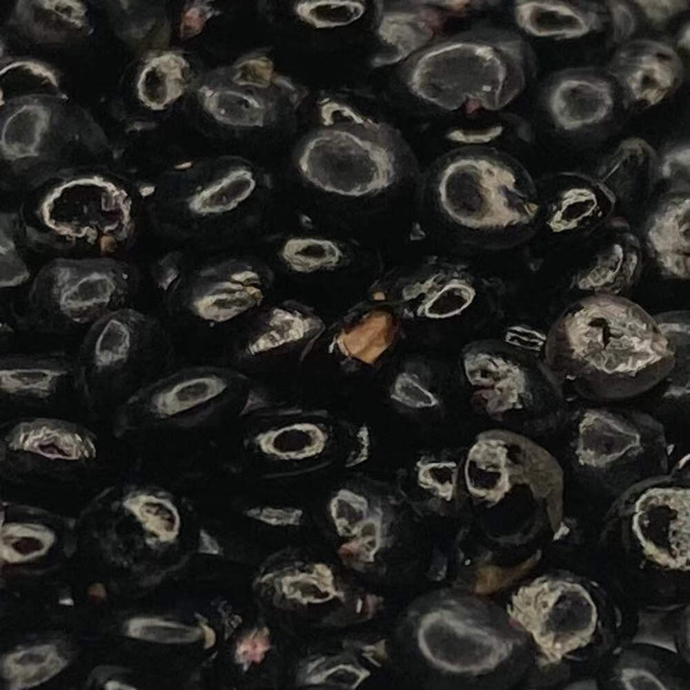 Pokeweed, American (Pytolacca americana)