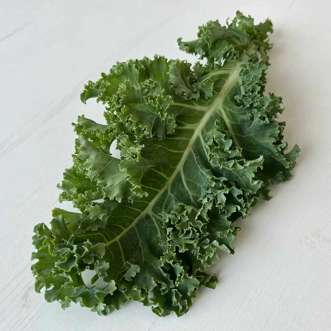 200+ seeds, Kale Seeds – Dwarf Siberian, heirloom, open pollinated, Non-GMO
