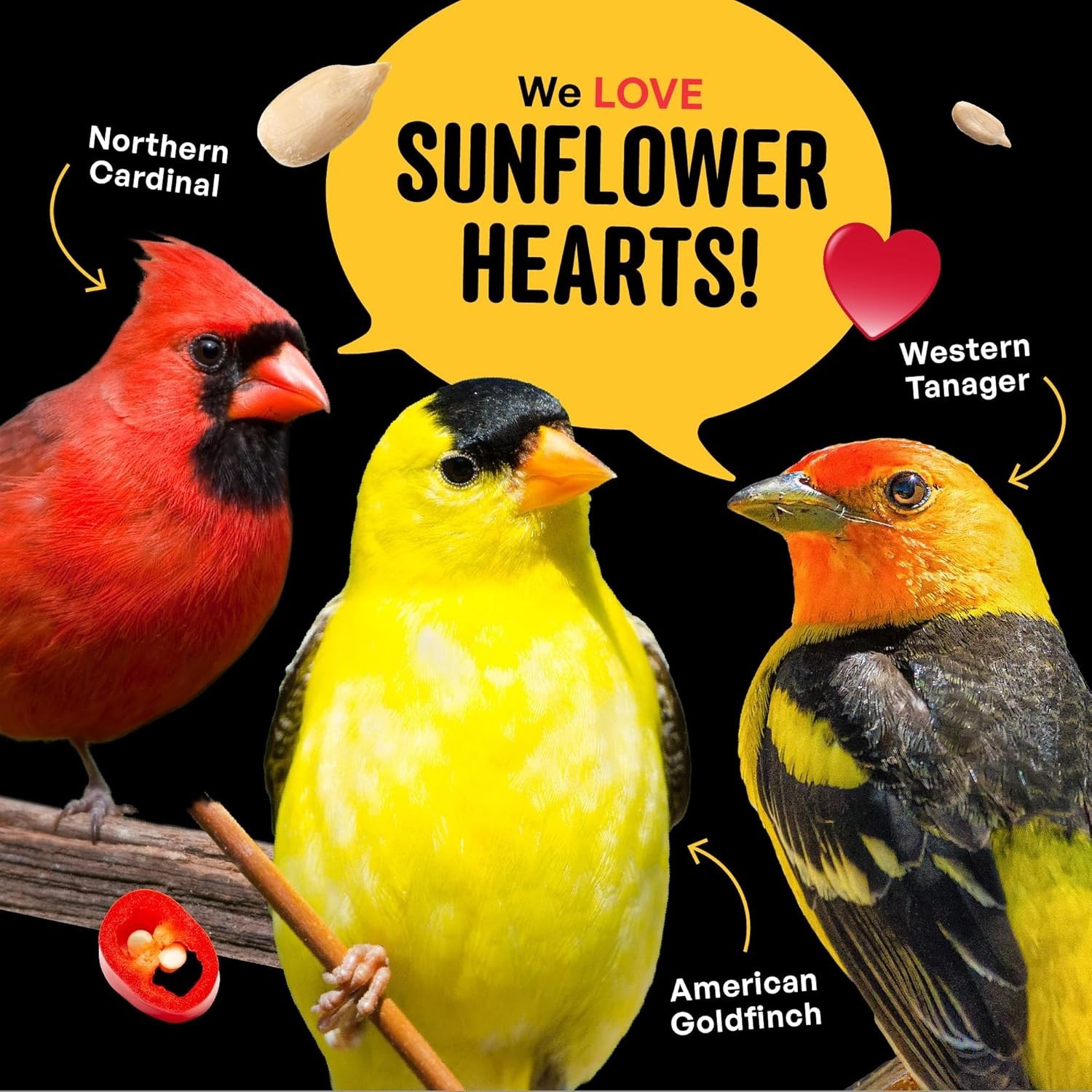 Hearts on Fire Hot Bird Seed – 10 lb. 100% Hulled Sunflower Hearts with Chili…