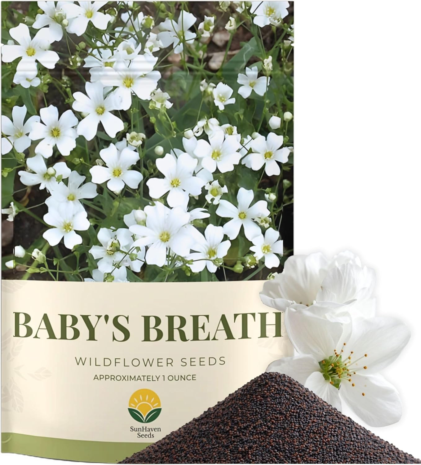Baby’S Breath Seeds – 20,000+ Seeds – 1 Oz Bulk Resealable Packet – Quick Bloomi