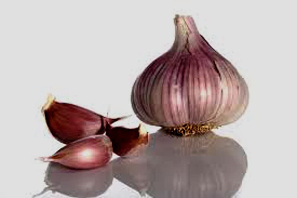 Garlic Bulb (10 Pack), Fresh Siberian HARDNECK Garlic Bulb for Planting and Grow
