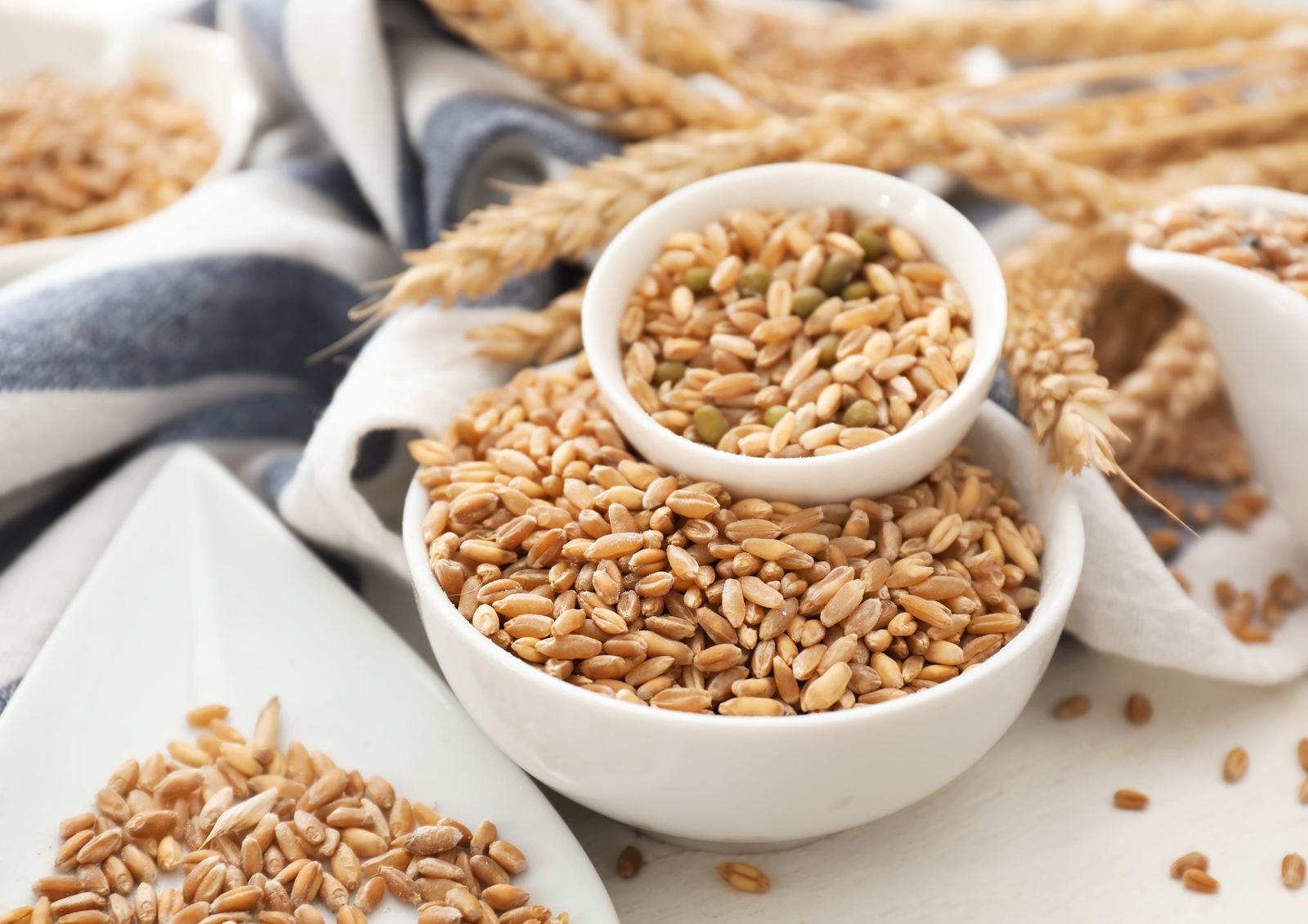 Wheat Berries – Sproutable, Kosher, Raw – by Food To Live