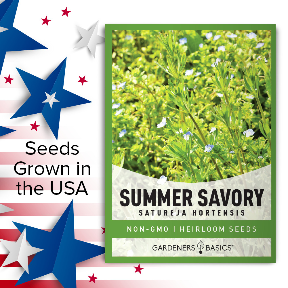 Summer Savory Seeds