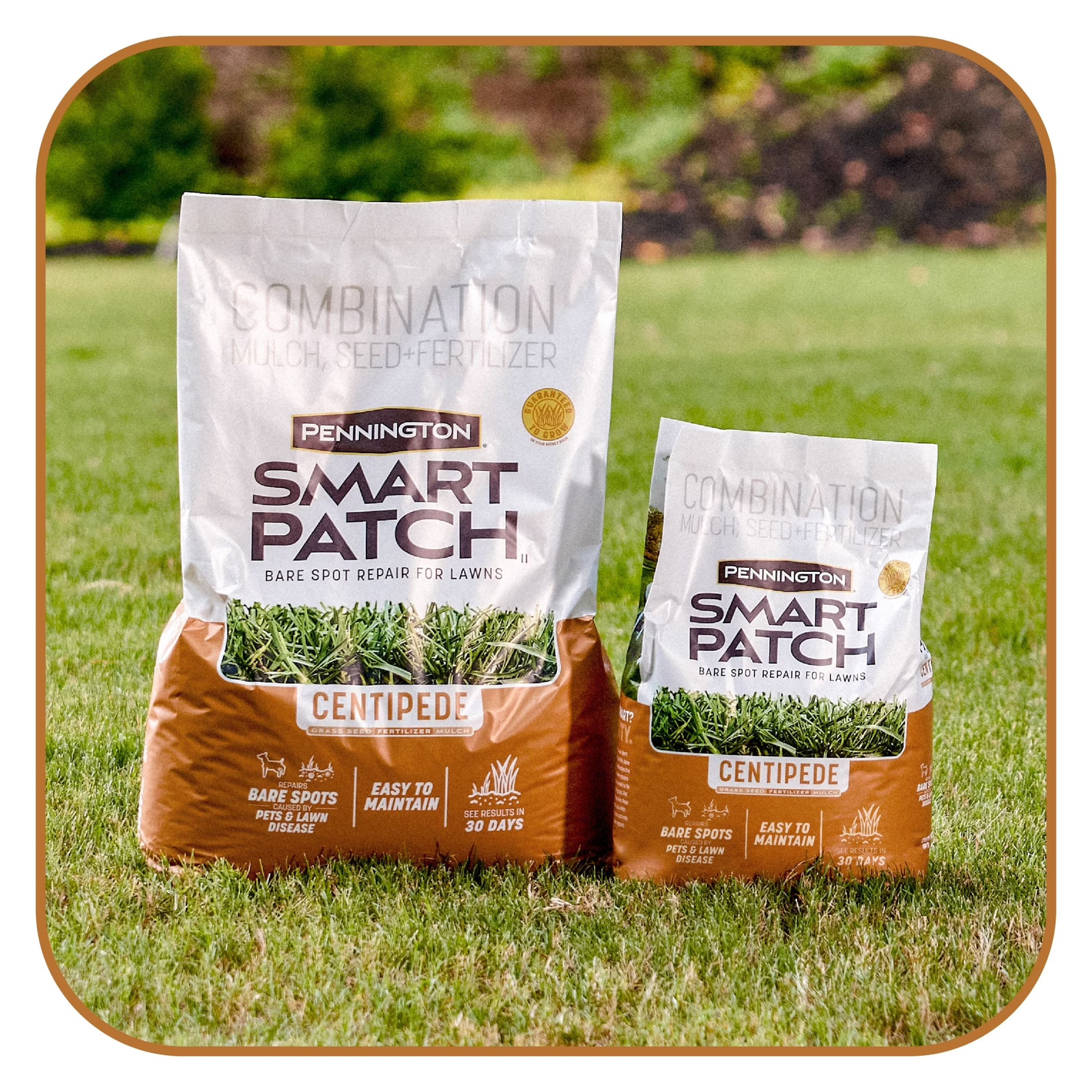 Smart Patch Centipede Seed Mix 5 Lb