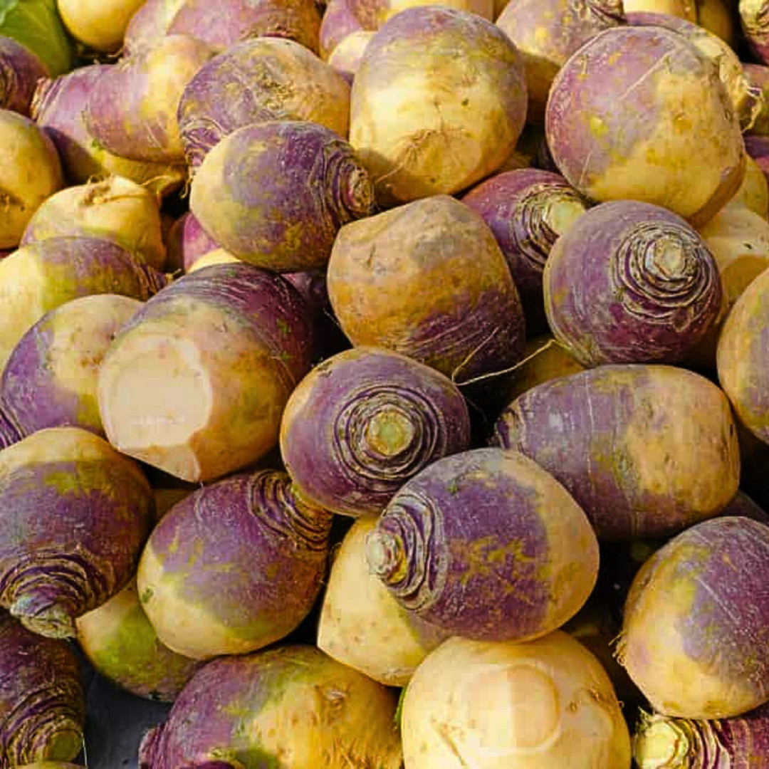 Fresh American Purple Top Rutabaga Seeds | Heirloom Non-GMO | Vegetable Seeds