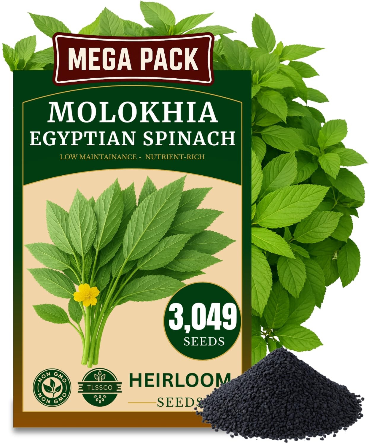 3000+ USA Premium Egyptian Spinach Seeds (Molokhia), Non-GMO Seeds, Fast-Grow…