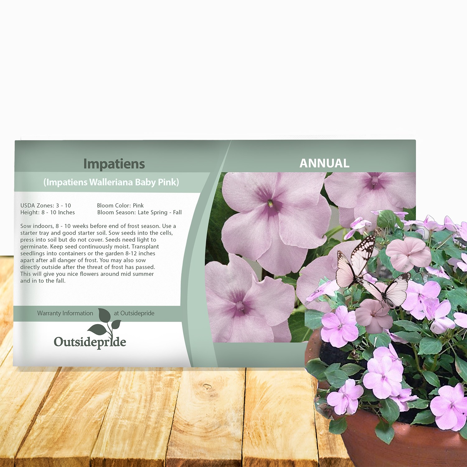 2000 Seeds Impatiens Seed – Impatiens Walleriana Baby Pink Flower Seeds