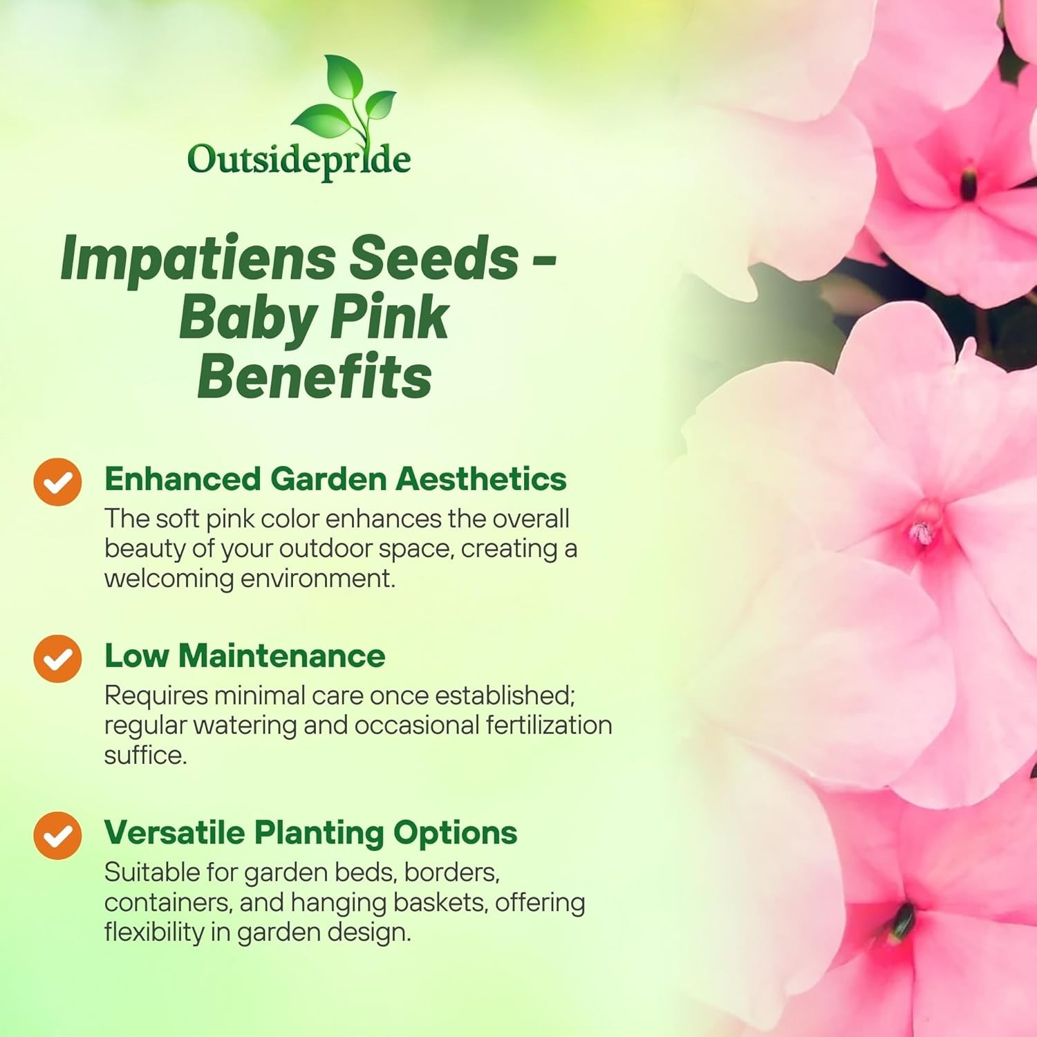 2000 Seeds Impatiens Seed – Impatiens Walleriana Baby Pink Flower Seeds