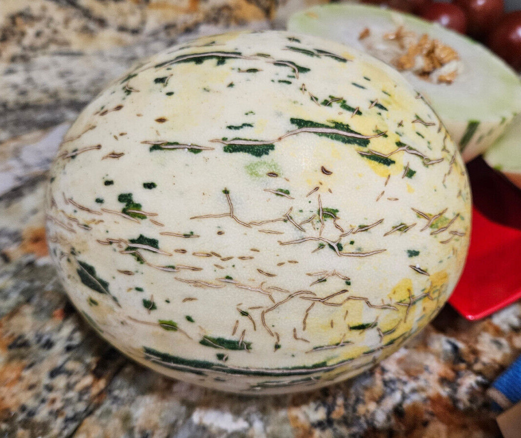 DYNO MELON Seeds (25) / DINOSAUR EGG MELON / SUPER RARE FRUIT
