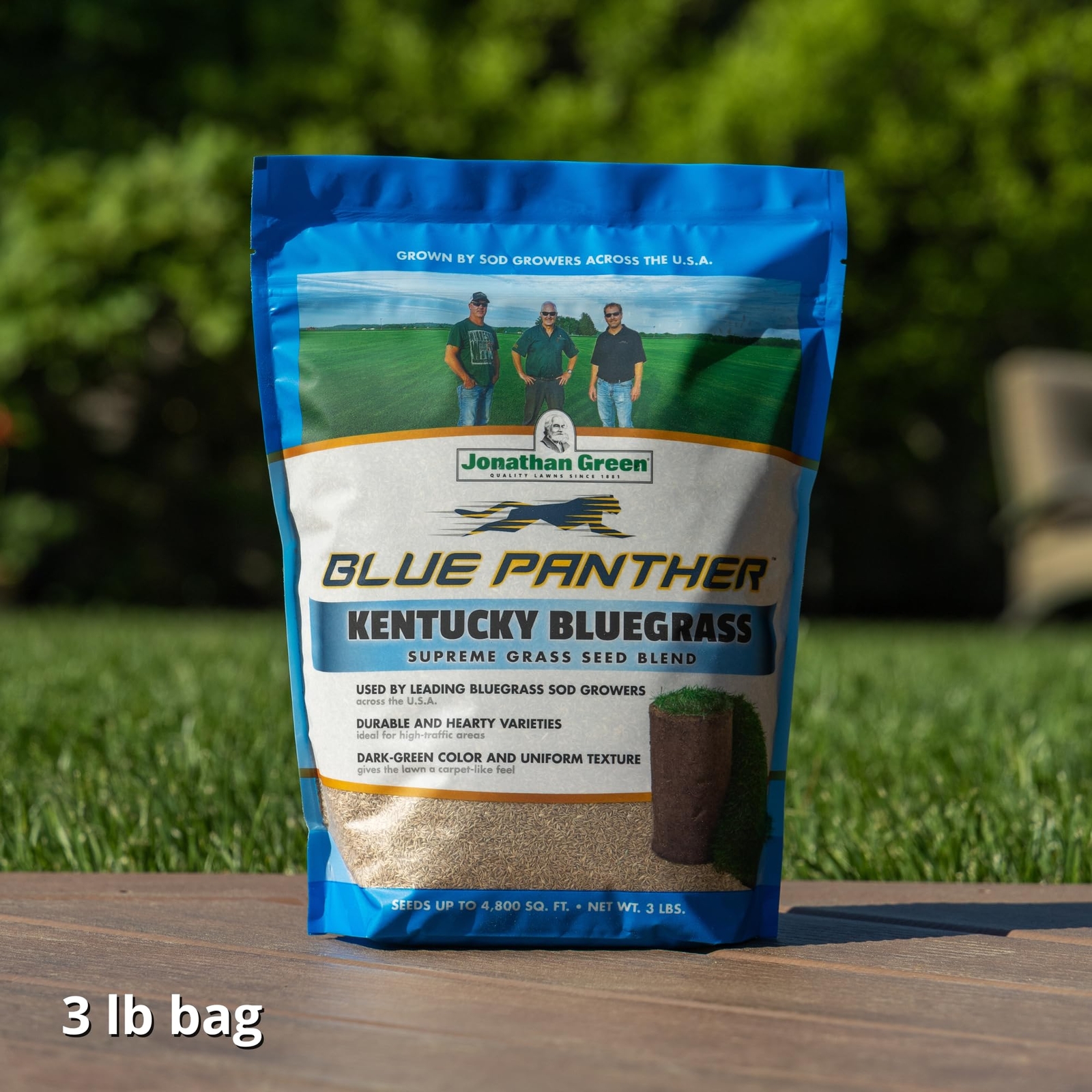 3 lb Kentucky Bluegrass Grass Seed Dark Green Lawn New Yard Overseeding