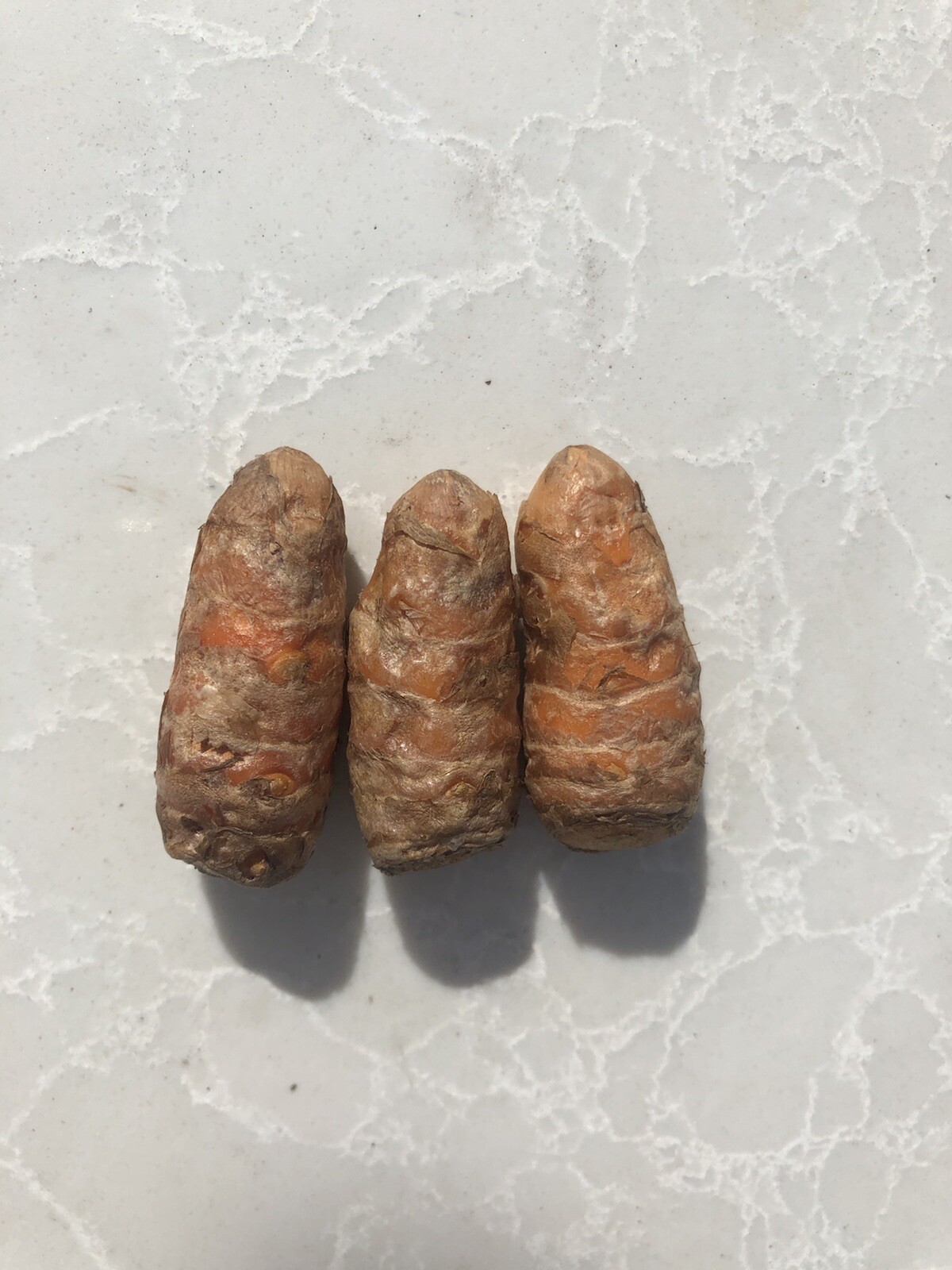3 Fresh Turmeric Roots Curcuma Longa Ready To Plant
