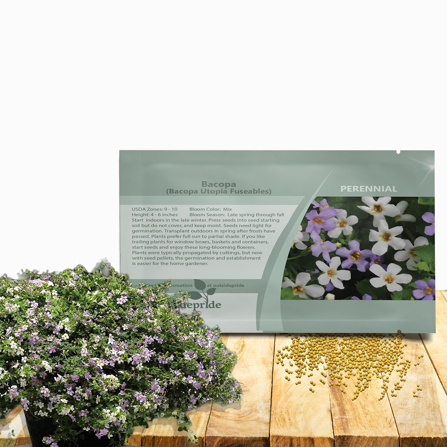 20 Seeds Bacopa Utopia Fuseables – Trailing Bacopa Flower Seeds