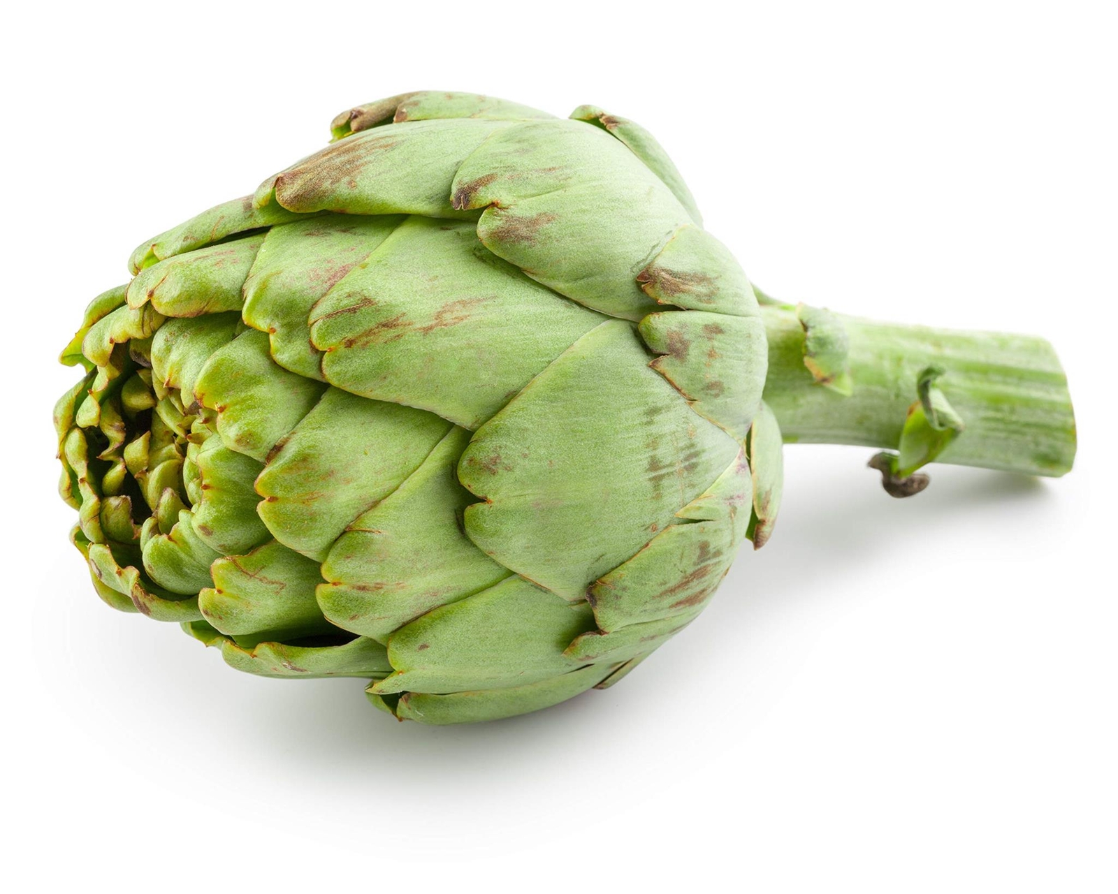 Exotic Globe Artichoke Seeds for Planting – 100+ Seeds – Rare Garden Vegetable S