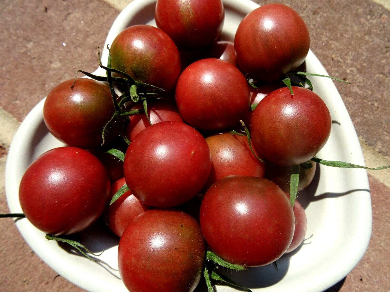 Chocolate Cherry Tomato 50 Seeds Non-GMO Organic Grown 2024 Delicious heirloom