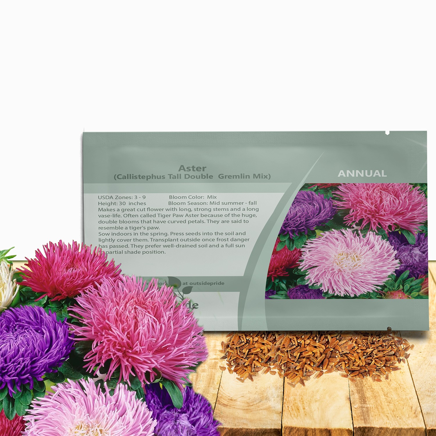 1000 Seeds Aster Seed – Aster Callistephus Gremlin Flower Seed Mix