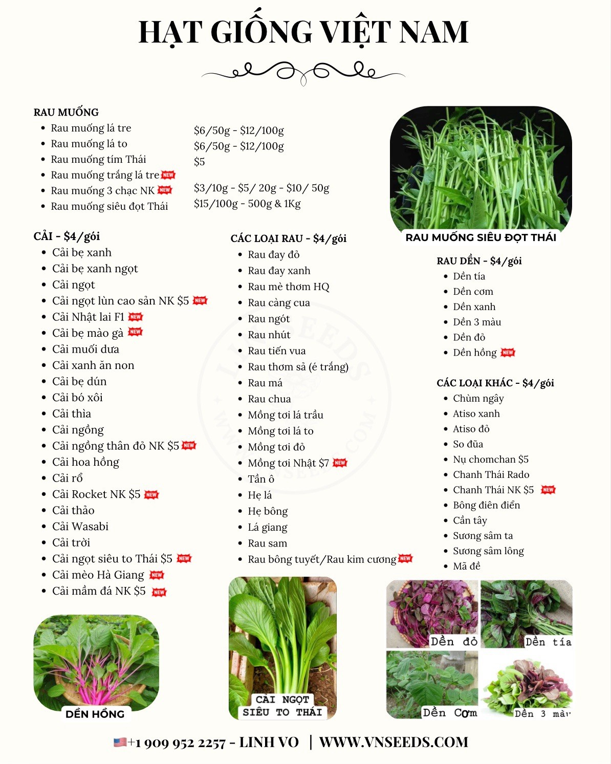 Hat Giong Cai Meo Ha Giang Mustard Seeds – Serrated Leaf – US Seller-Fast Ship