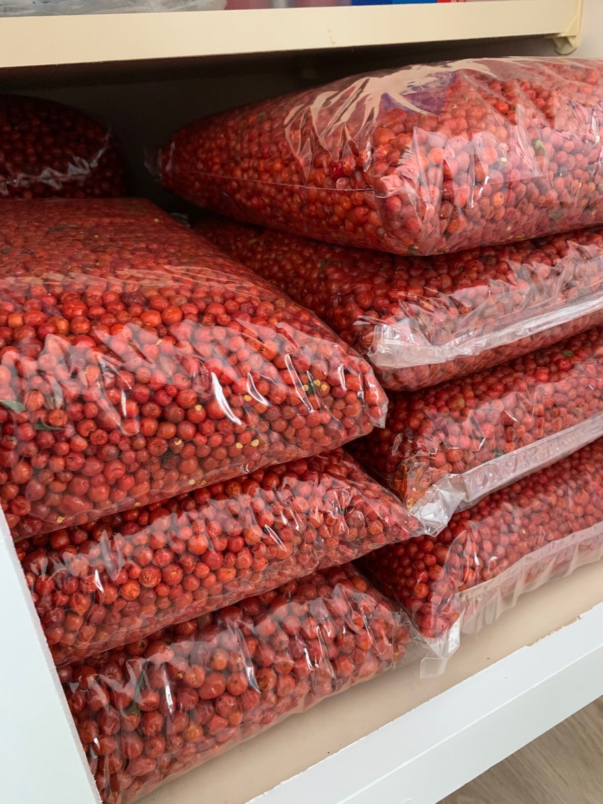 CHILTE FARM Chile Chiltepin Libra