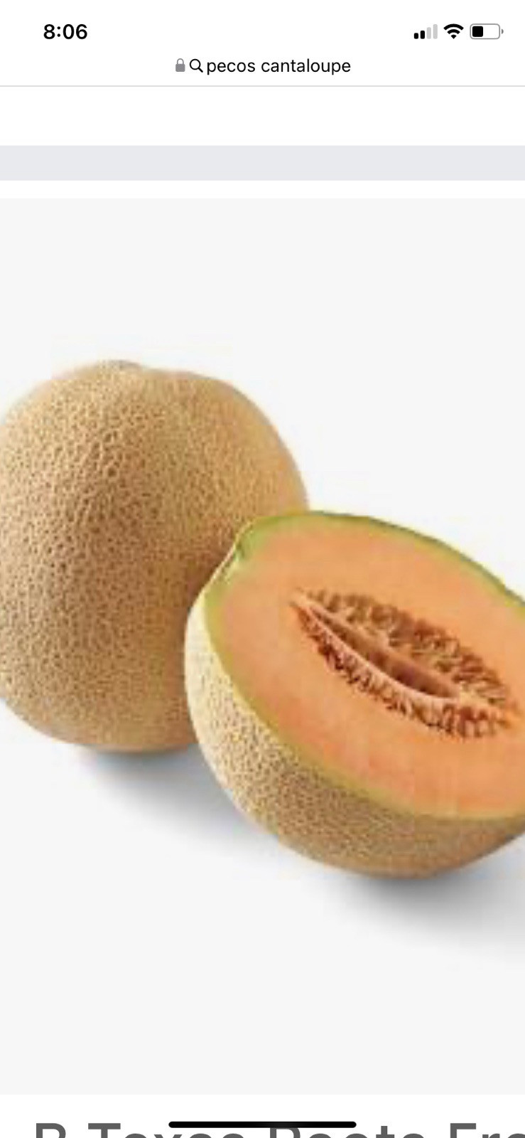Watermelon Seeds Red-Yellow-Orange Meat Pecos Cantaloupe Seeds 100 Seed Mix Pac