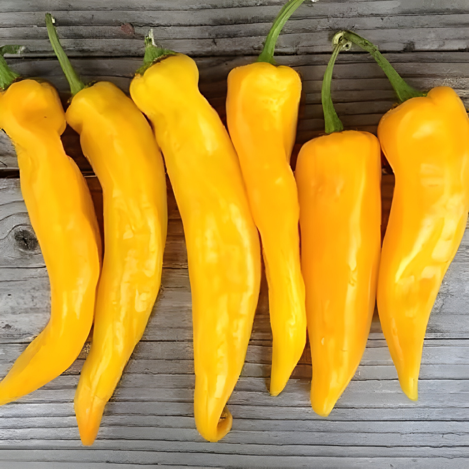 100ct Giant Golden Marconi Sweet Pepper Seeds – Sweet Super Mild Heirloom Pepper