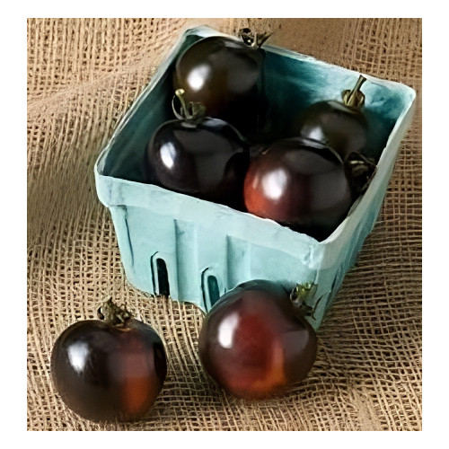 Tomato Indigo Rose Great Heirloom Garden Vegetable by Seed Kingdom 100 Seeds