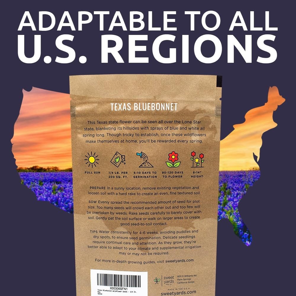 Texas Bluebonnet Wildflower Seeds – 1/4 lb Bulk Pack – 4,000+ Native Seeds for P
