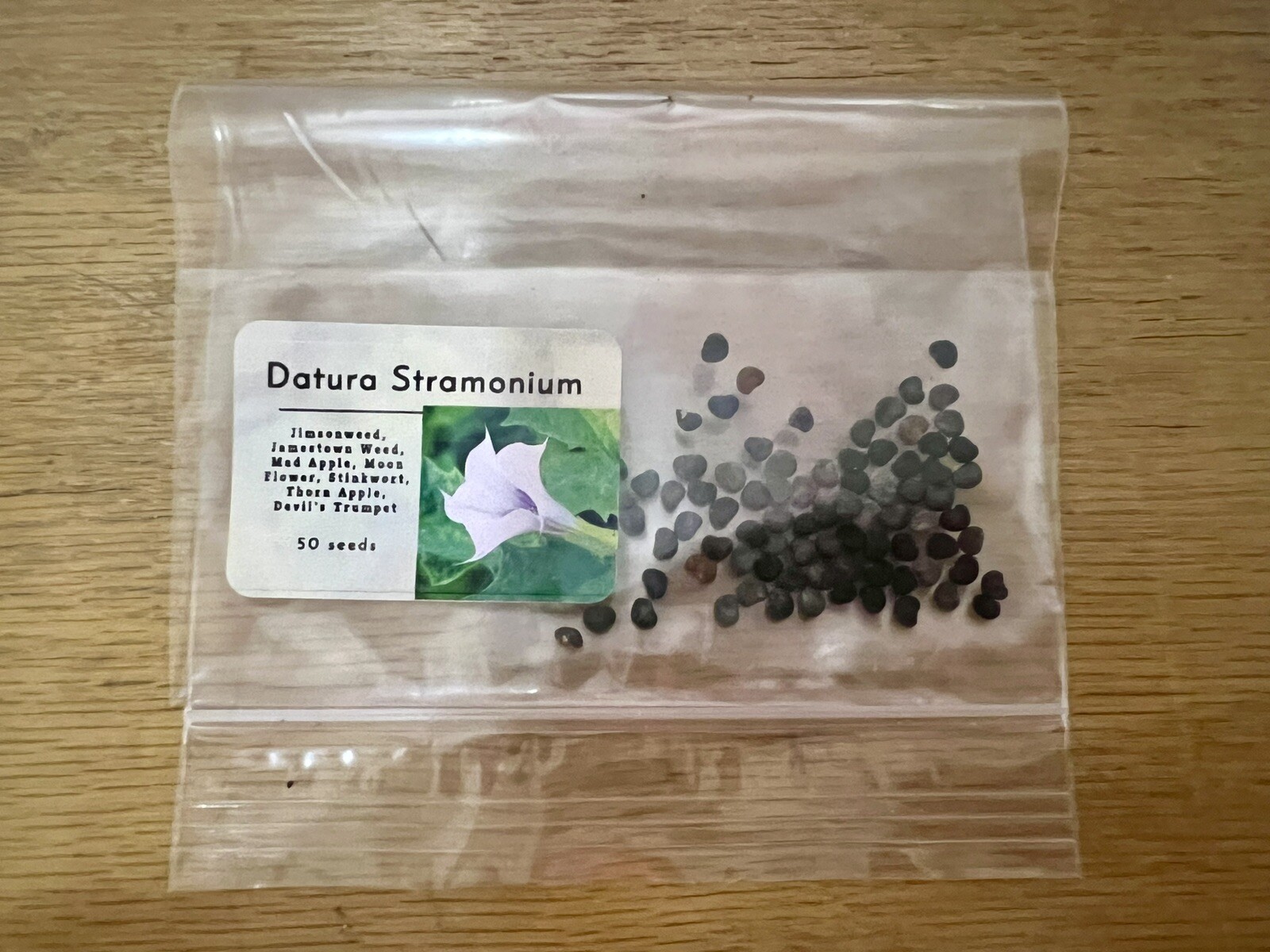 (100+) Datura Stramonium Jimsonweed Moon Lily Flower Seeds