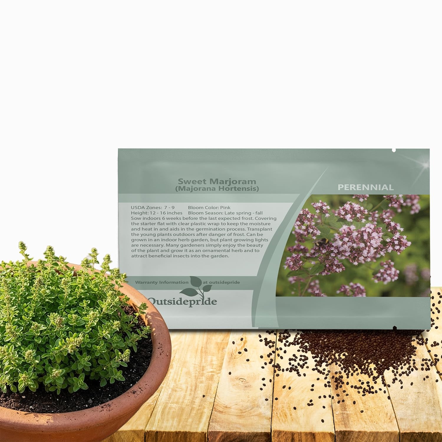 Outsidepride Sweet Marjoram Herb Seeds – 5000 Pcs Perennial, 12-16 Inches Tall,