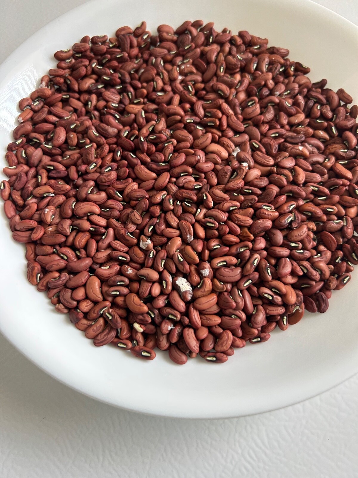 50+ Dark Green Yard Long Bean seeds Chinese Asparagus Heirloom