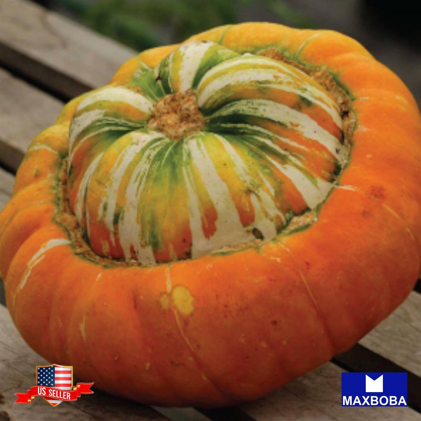 05 Gourds Turks Turban Fresh Seeds Non-GMO Heirloon Vegetable