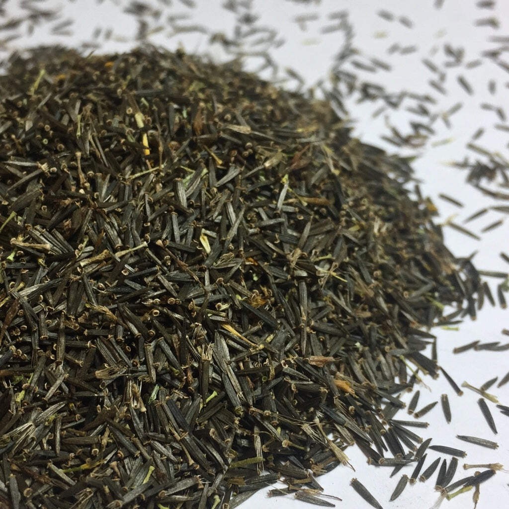 Meadow Arnica Seeds (Arnica chamissonis) ~Traditional Herb Native Pollinator