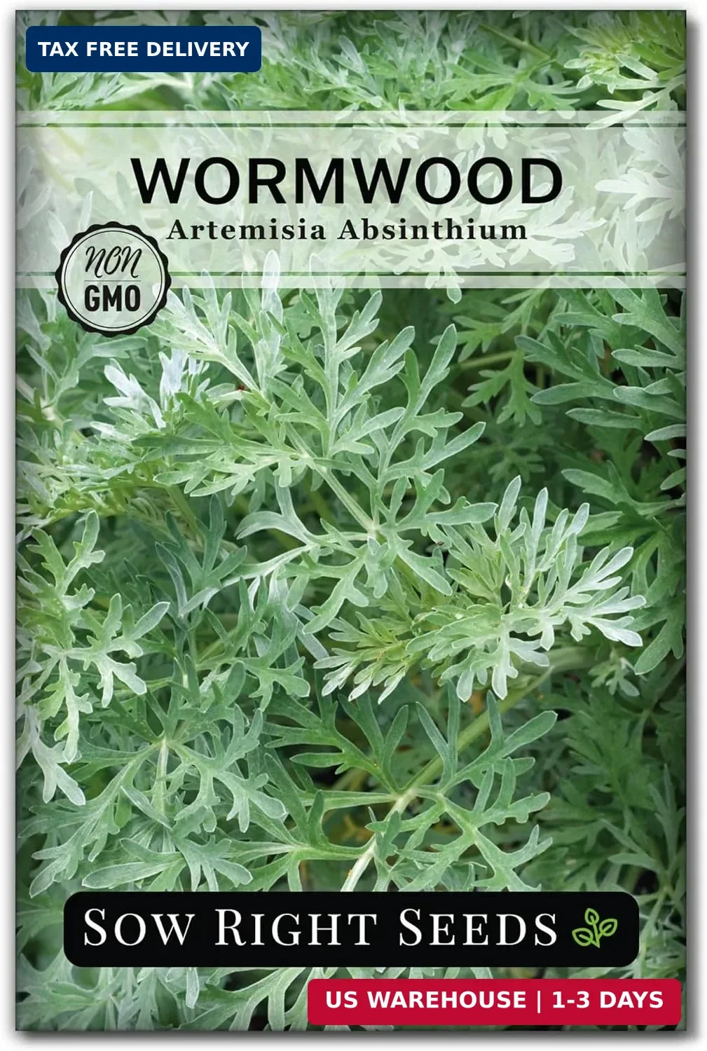 Sow Right Seeds – Wormwood Seeds for Planting – Non-GMO Heirloom Packet with Ins