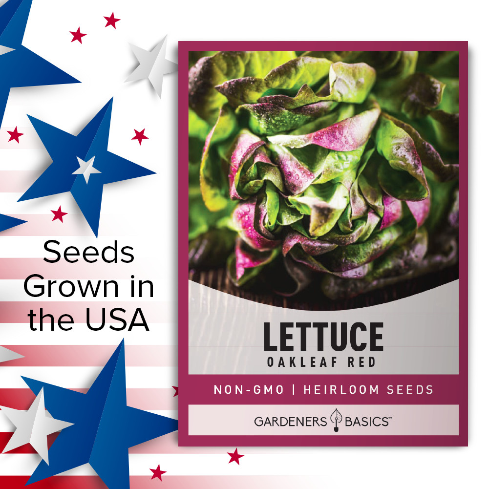 Red Oakleaf Lettuce Seeds