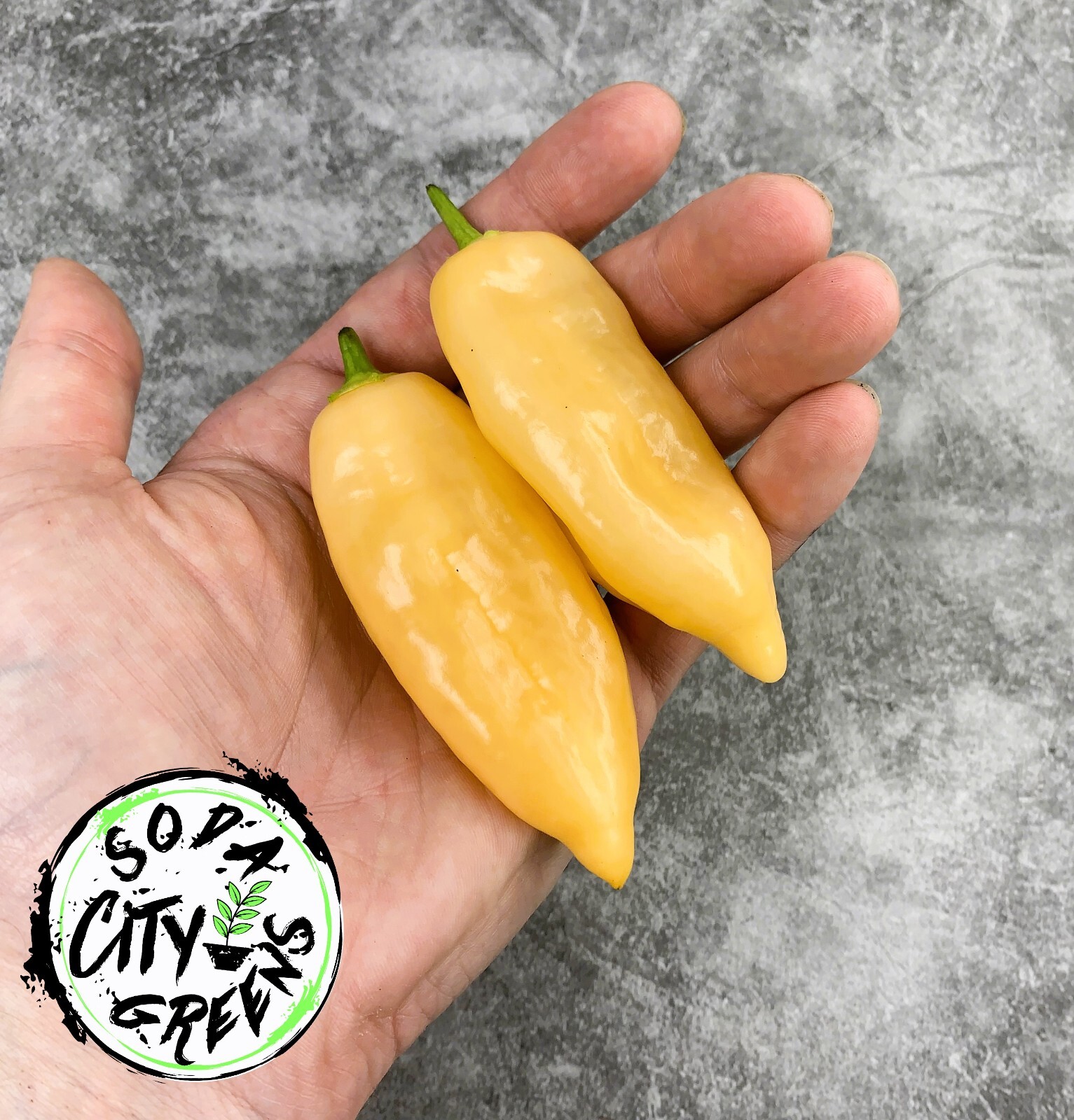 Sugar Rush Peach Pepper Seeds