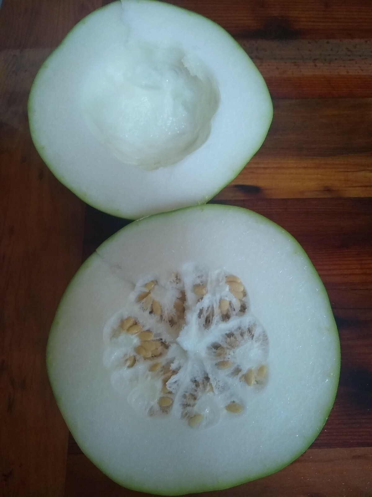Winter Melon Seed ~ Benincasa hispida ~ Wax Gourd