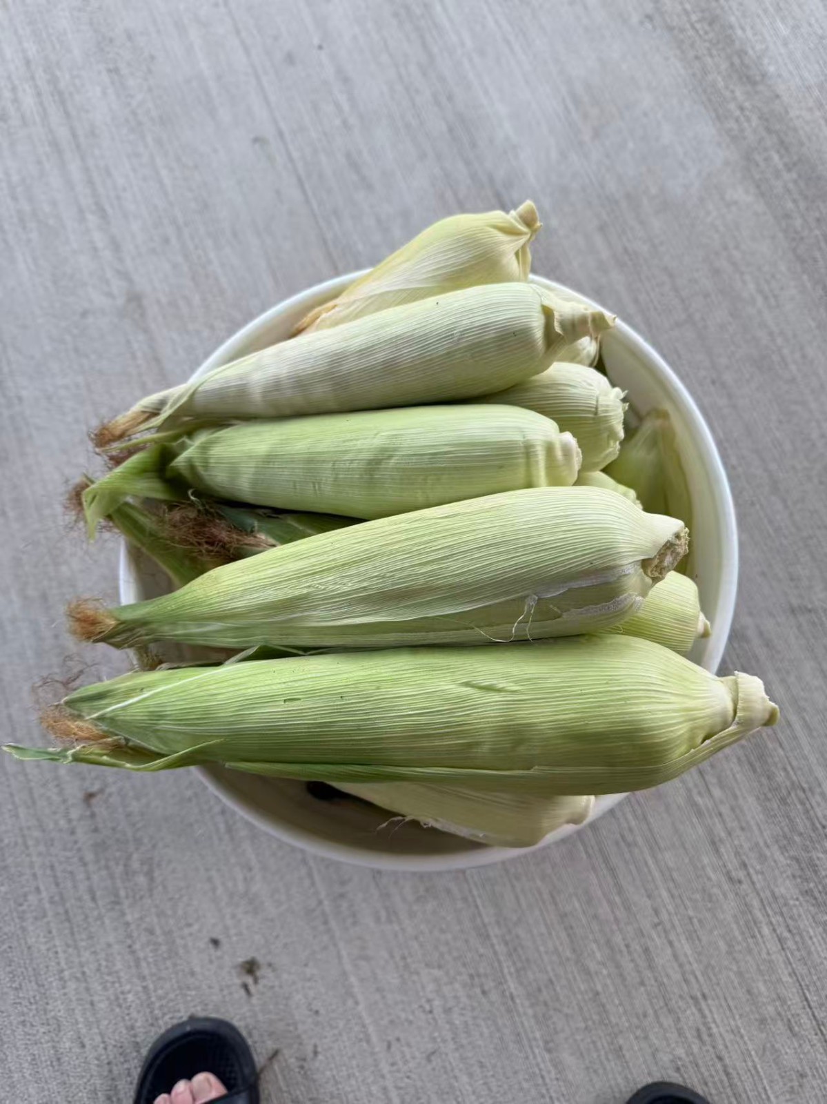 Organic Sweet Sticky Waxy Mixed Variety Glutinous Corn Non-GMO 糯玉米