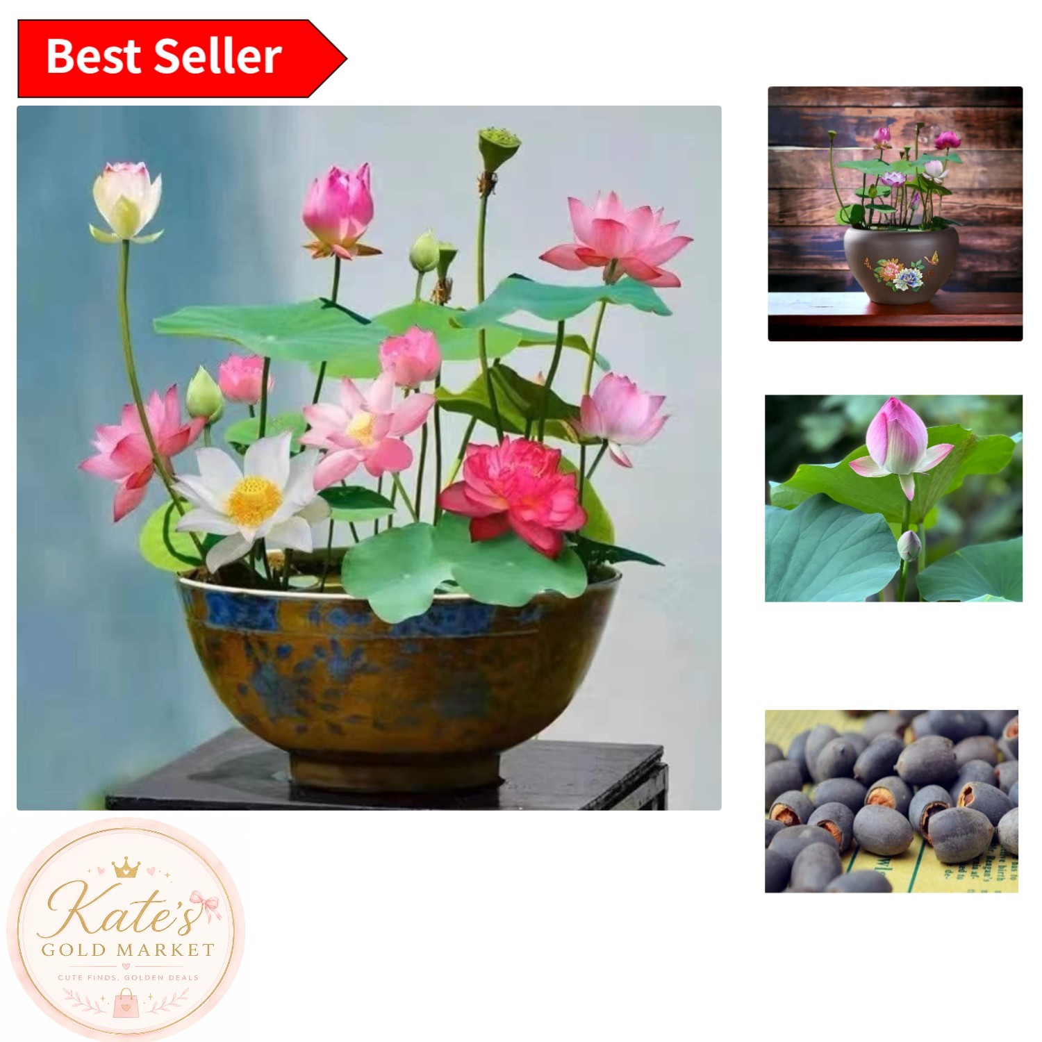 10pcs Mixed Lotus Seeds – Pink, Red & Green for Indoor/Outdoor Beauty