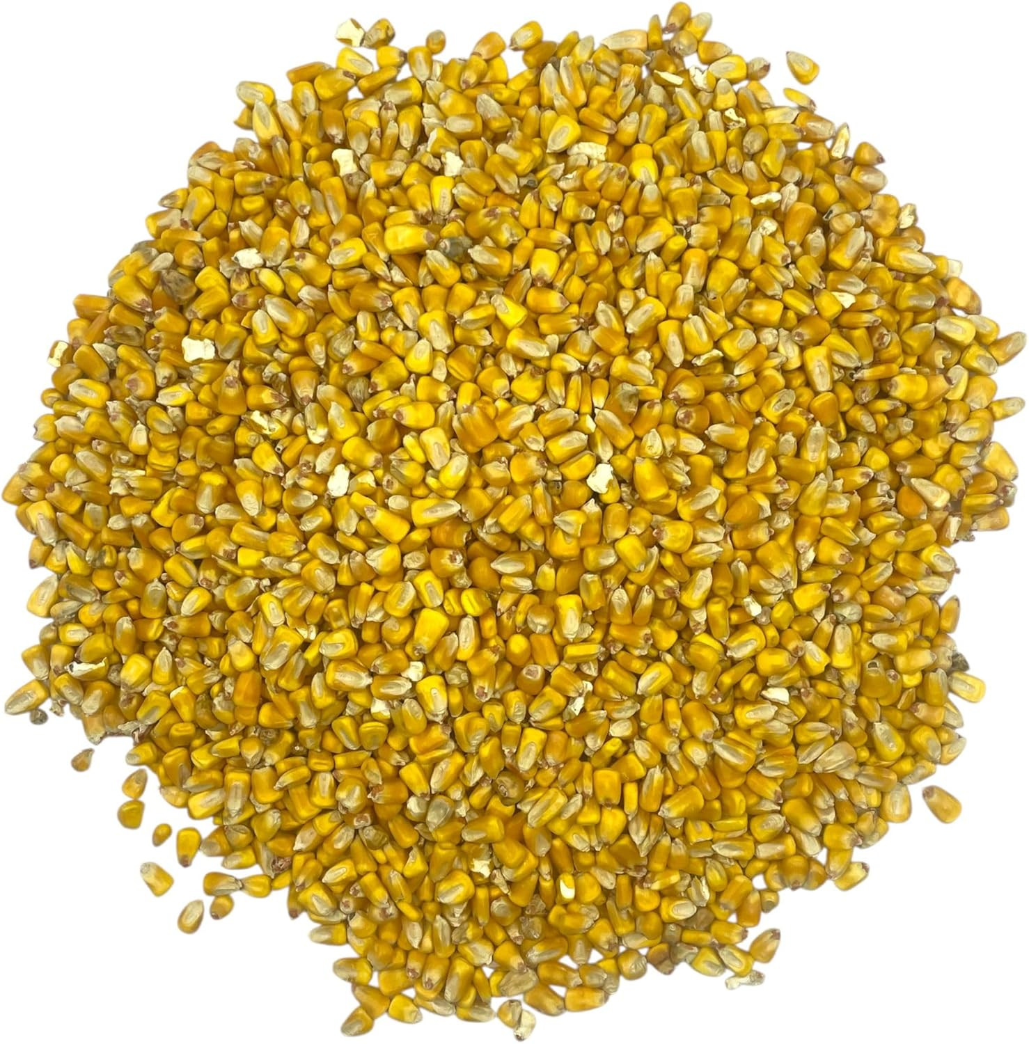 Whole Corn 10 LB– Premium Bird Seed & Wildlife Feed for Ducks, Deer, Squirrels,
