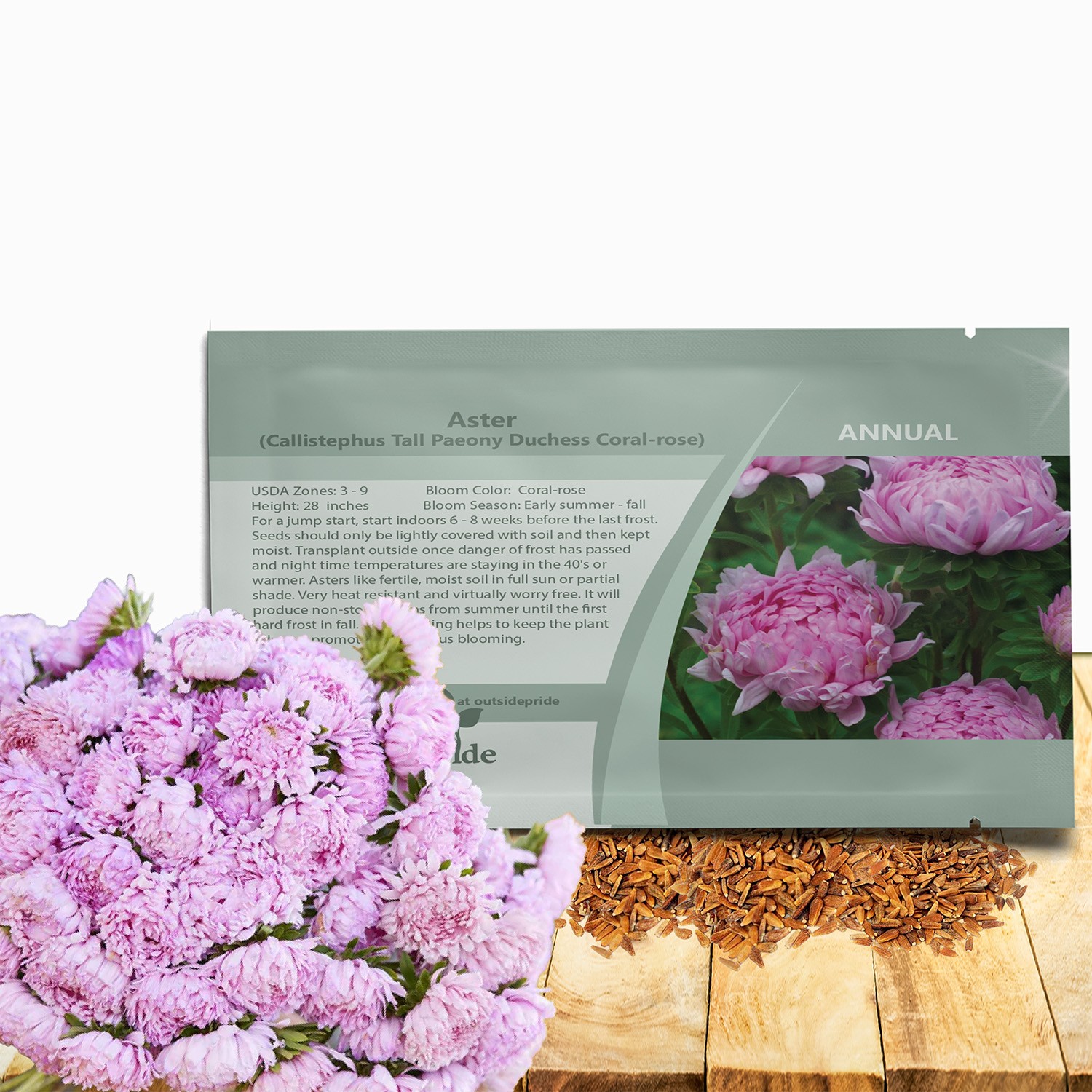 1000 Seeds Aster Seed – Aster Callistephus Tall Paeony Duchess Flower Seeds