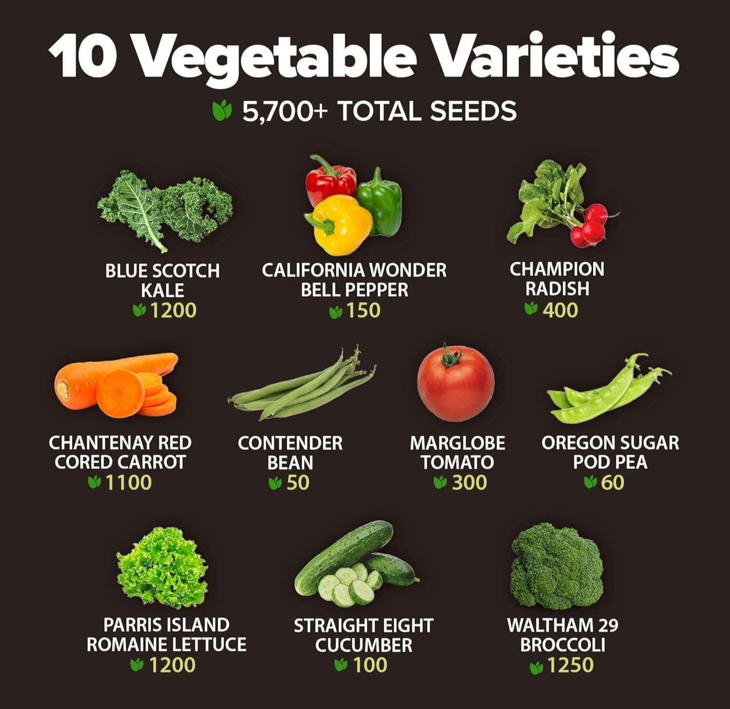 10 Variety Survival Seed Vault 5,700+ USA Grown Heirloom Non-Gmo Vegetable Seeds