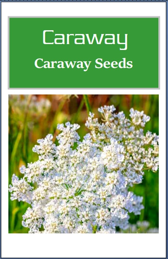 Caraway Seeds | NON-GMO | Heirloom | Fresh Garden Seeds