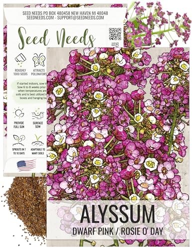 Dwarf Pink Alyssum Seeds for Planting – Heirloom & Open 1 Pack (1,000 Seeds)