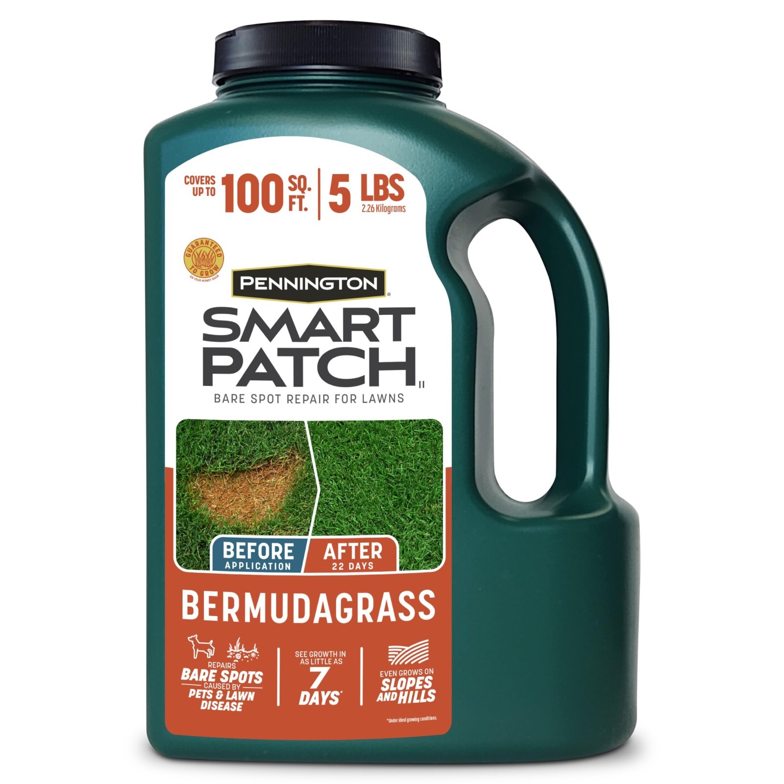 Bermuda Grass Seed 5 lb Jug – Smart Patch for Lush Lawn Repair & Growth