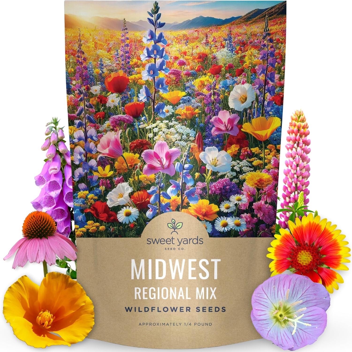Midwest Regional Mix – Bulk 1/4 Pound Pouch – 60000 Flower Seeds for Planting