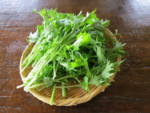 Mizuna Mustard Greens Seeds | Japanese Water Green Salad Peppergrass Seed 2024