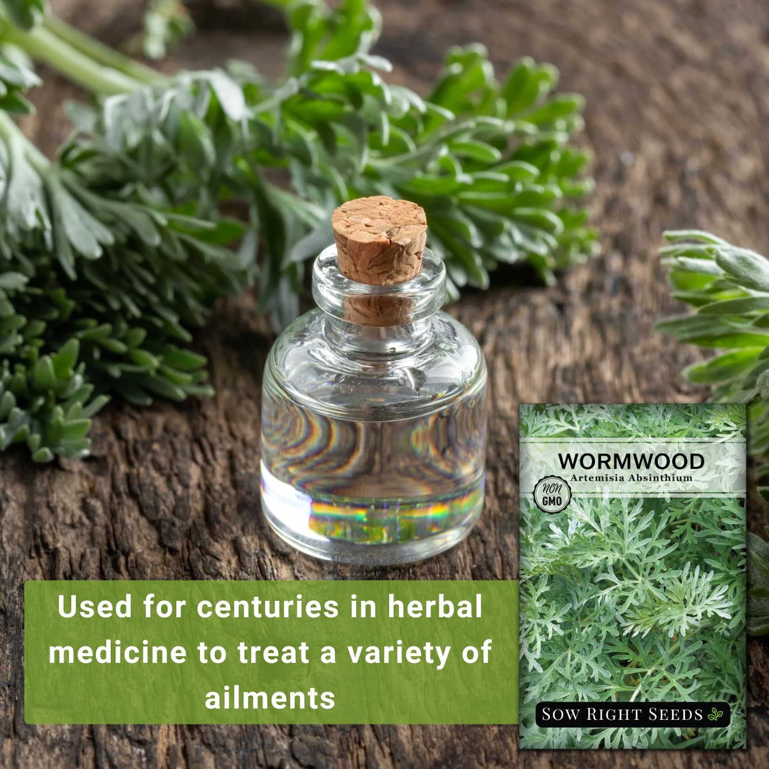 Wormwood Seeds for Planting – Non-GMO Heirloom Herb Garden Packet with