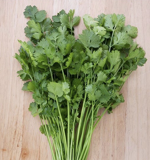 Fresh Whole Cilantro Seeds Coriander Garden Planting Non-GMO