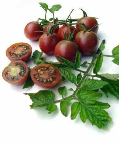Tomato Black Cherry (Lycopersicon Esculentum) Great Garden Vegetable 50 Seeds