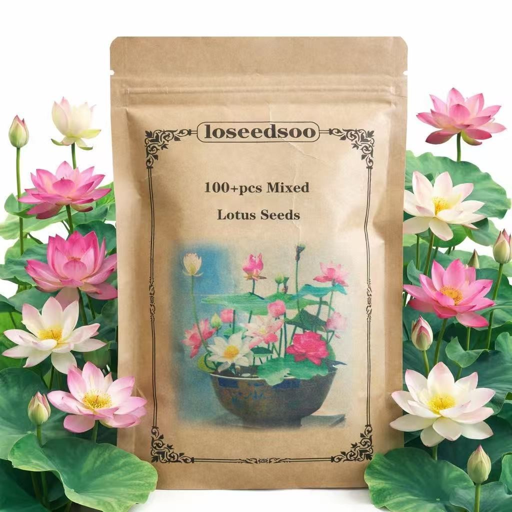 100+ Mixed Lotus Seeds for Planting – Aquatic Lotus Flower Seeds for Pond