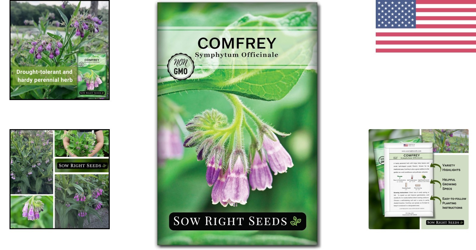 Comfrey Seeds for Indoor Outdoor Herb Garden Non-GMO Heirloom Purple Flowers